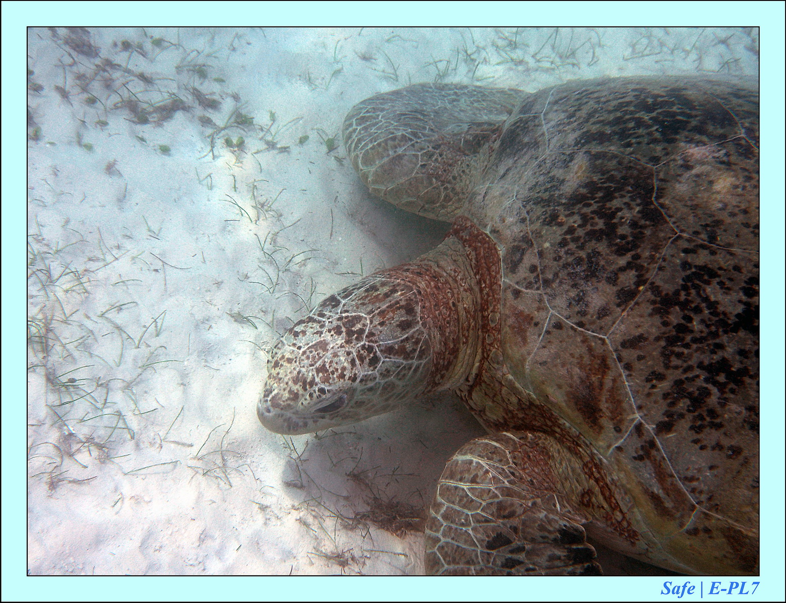 2015   07   Peranthian Islands 05